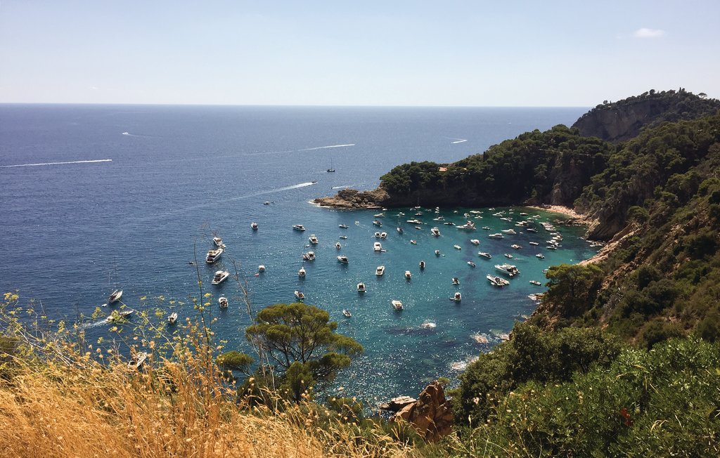 Lejlighed - Tossa de Mar , Spanien - ECB038 12