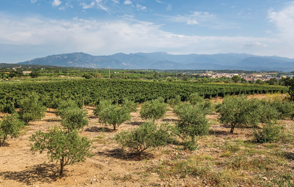 Ferienhaus - Capmany , Spanien - ECB186 49