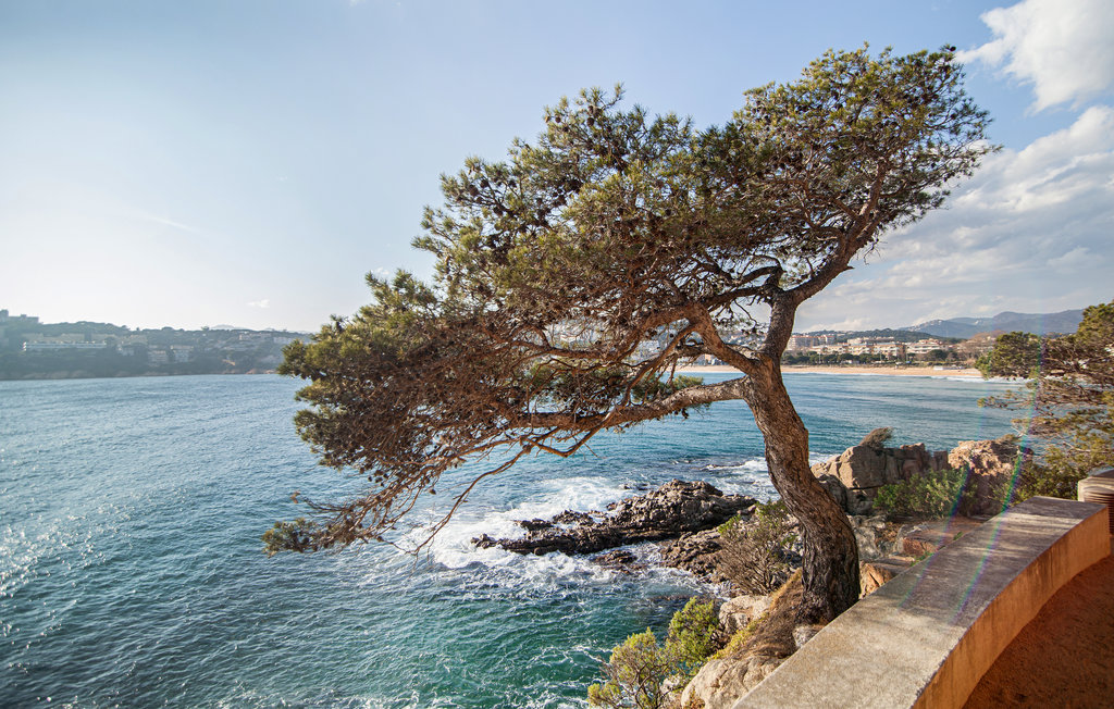 Feriehus - El Mas Trempat/Girona , Spania - ECB855 25