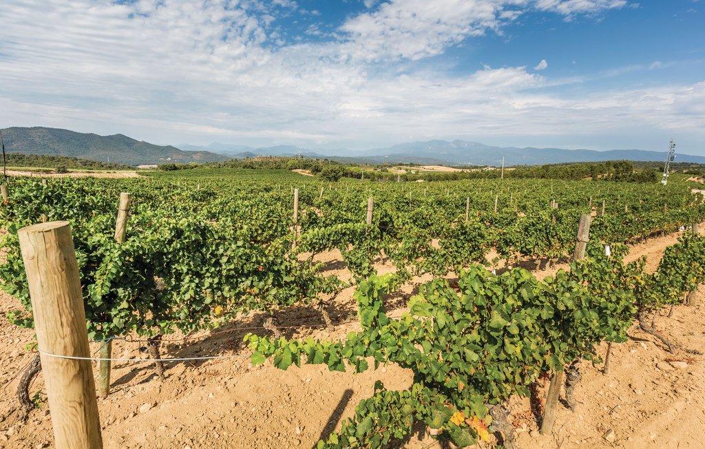 Ferienhaus - Capmany , Spanien - ECB186 47