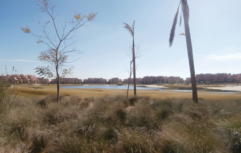 Lejlighed - Mar Menor Golf Resort , Spanien - ECC348 20