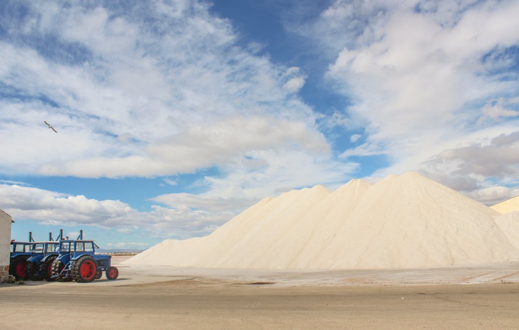 Lejlighed - San Pedro del Pinatar/Lo Pagán , Spanien - ECC686 16