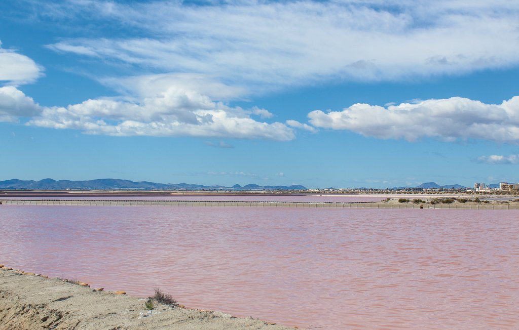 Lejlighed - San Pedro del Pinatar/Lo Pagán , Spanien - ECC686 14