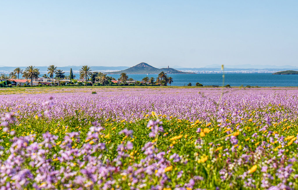 Feriehuse - Playa Honda , Spanien - ECM095 27