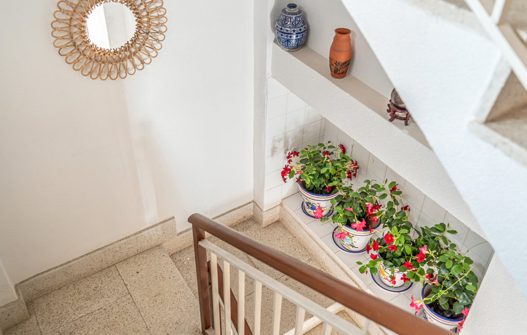 Ferienwohnung - San Javier , Spanien - ECM110 13