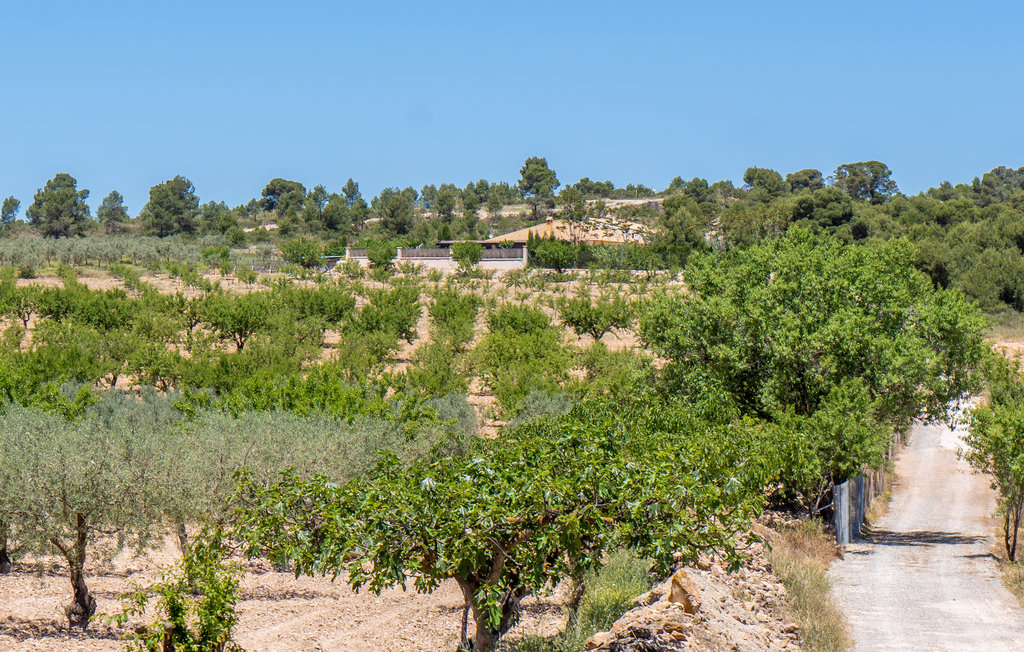 Ferienhaus - Mula , Spanien - ECM063 18