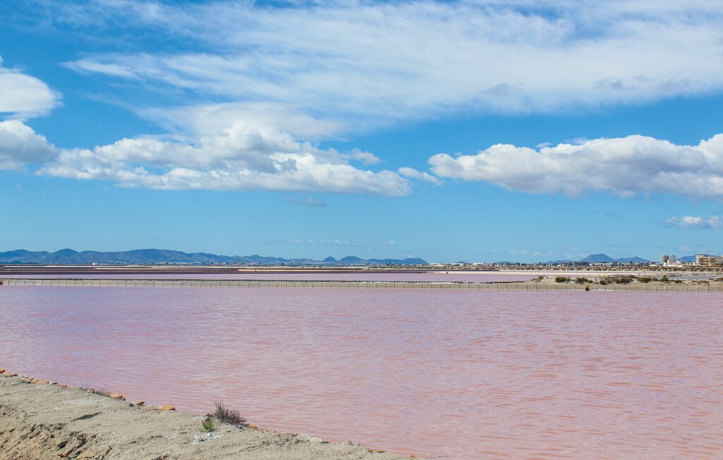 Ferieleilighet - Santiago de la Ribera , Spania - ECM472 22