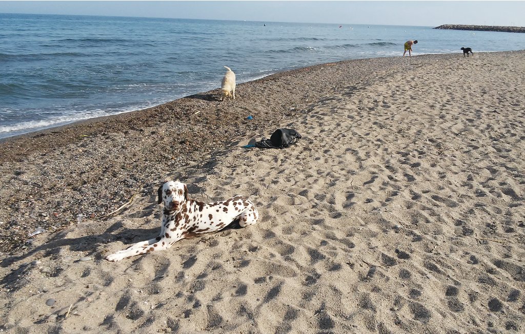 Feriehuse - Miami Playa , Spanien - EDO574 31