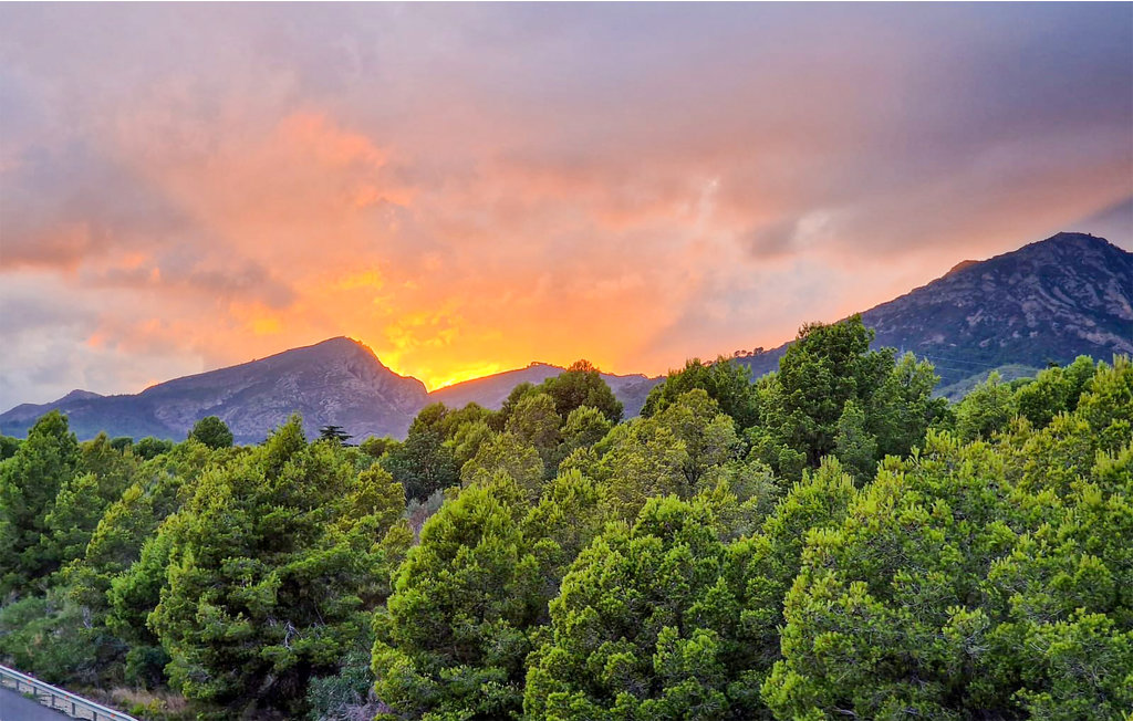 Feriehuse - Miami Playa , Spanien - EDO574 36