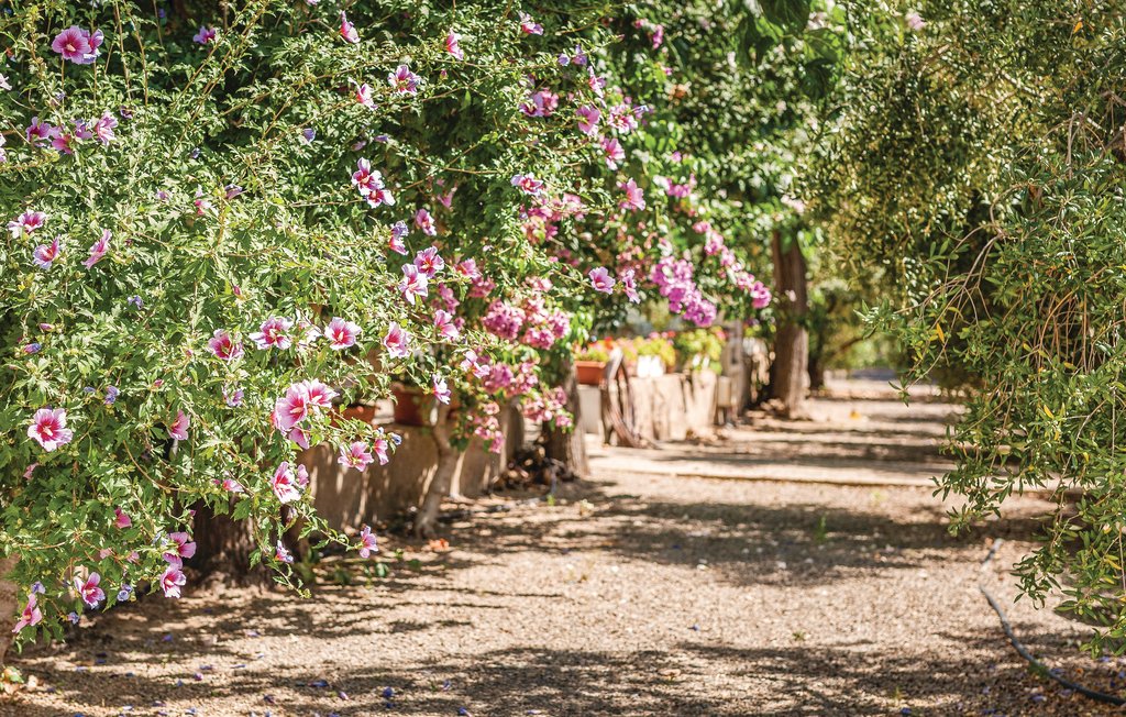 Feriehuse - Riudoms , Spanien - EDO351 25