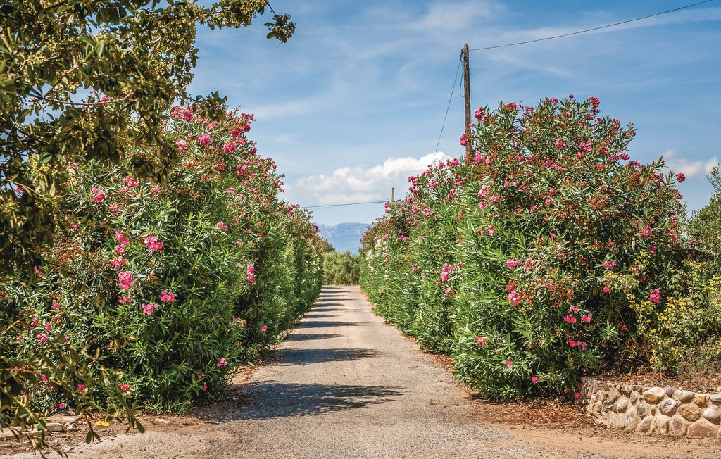 Feriehuse - Riudoms , Spanien - EDO351 22
