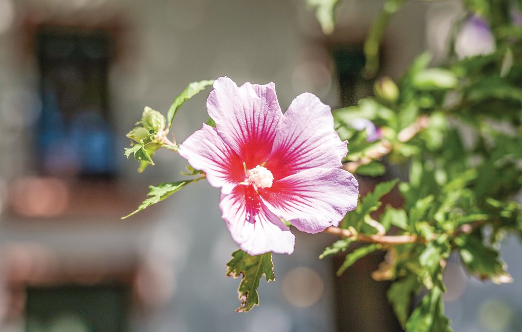 Feriehuse - Riudoms , Spanien - EDO351 27