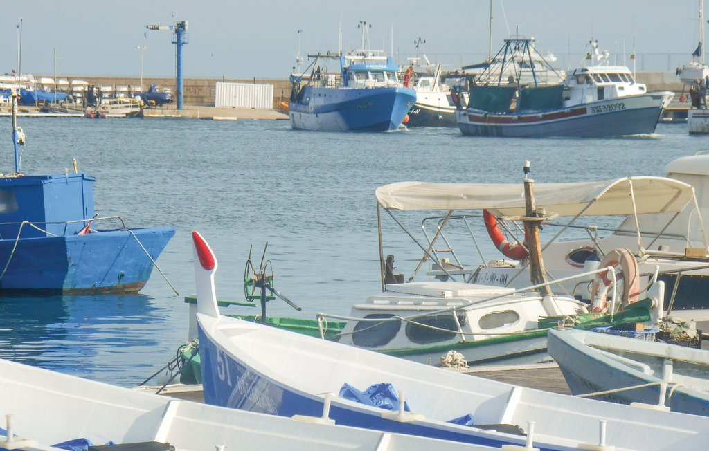 Domy wakacyjne - Miami Platja , Hiszpania - EDO476 22