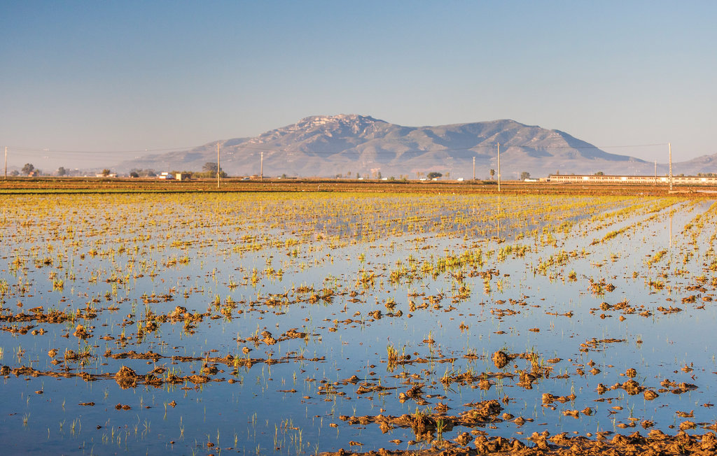 Feriehus - Delta Ebro,Tarragona , Spania - EDO653 18
