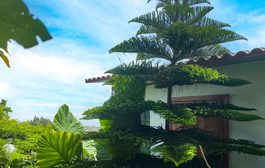 Feriehuse - Las Palmas de Gran Canaria , Spanien - EGR294 14