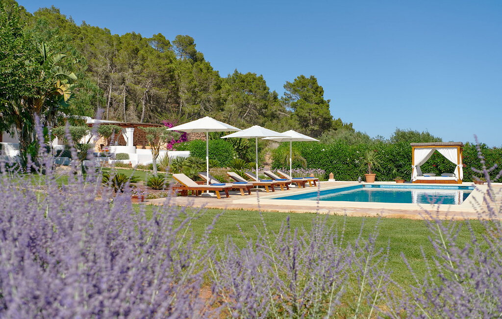 Feriehuse - VILLA FINCA MAGO, Santa Gertrudis , Spanien - EIB026 11