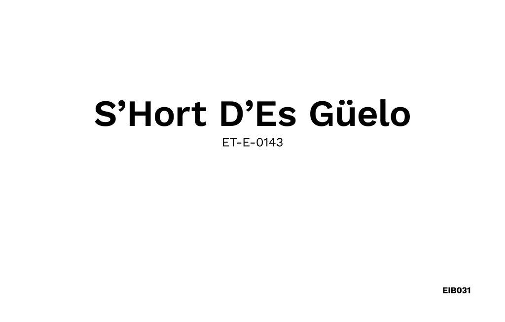 Location de vacances - VILLA EL ABUELO, Santa Eulalia des Riu , Espagne - EIB031 26