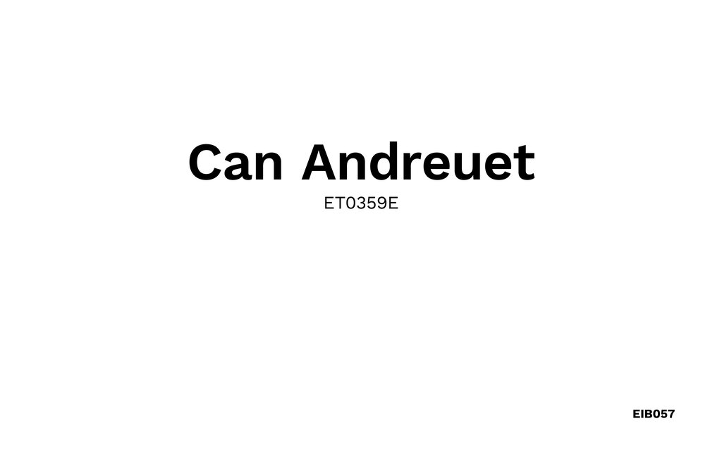 Feriehuse - VILLA ANDREUET, San Carlos/ Sant Carles de Per , Spanien - EIB057 26