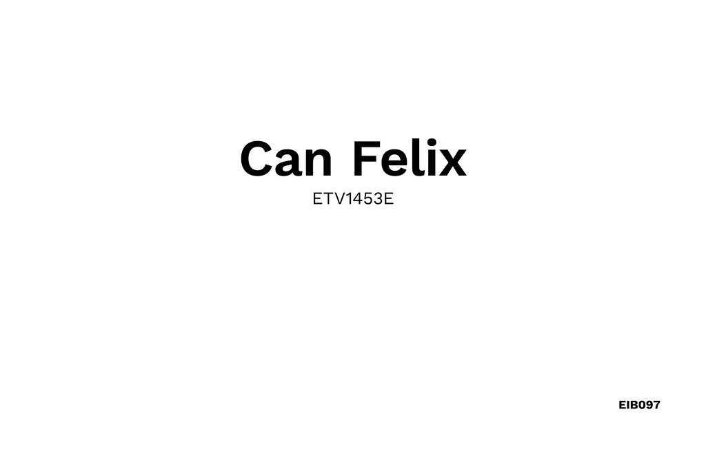 Feriehuse - VILLA CAN FELIX, Sant Antoni de Portmany , Spanien - EIB097 26