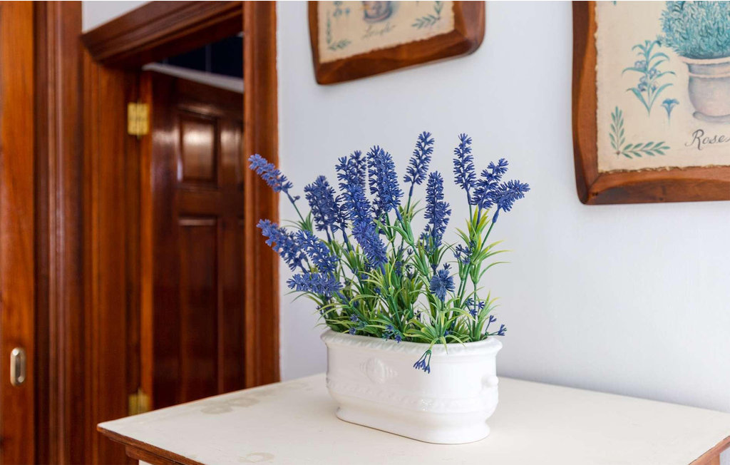 Feriehuse - Playa Blanca , Spanien - ELA451 15