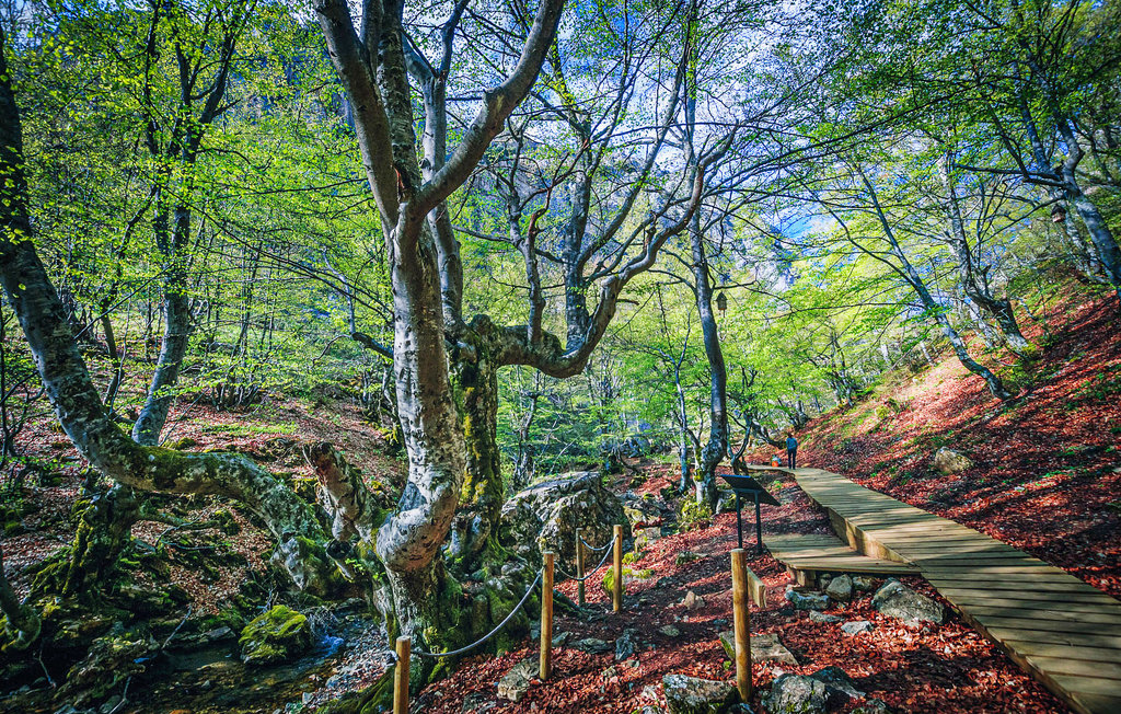 Lejlighed - Riello , Spanien - ELL003 23