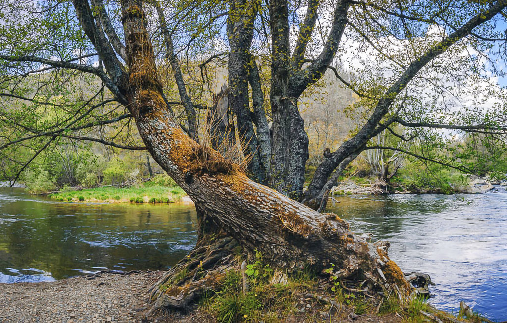 Ferienhaus - Riello , Spanien - ELL002 22