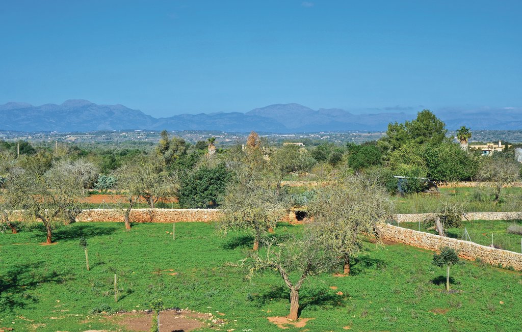 Feriehuse - Ariany , Spanien - EMA110 15