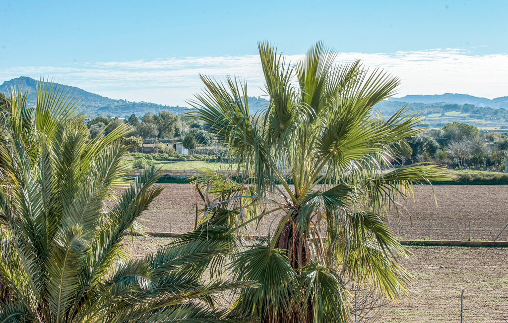 Feriehuse - Manacor , Spanien - EMA944 36