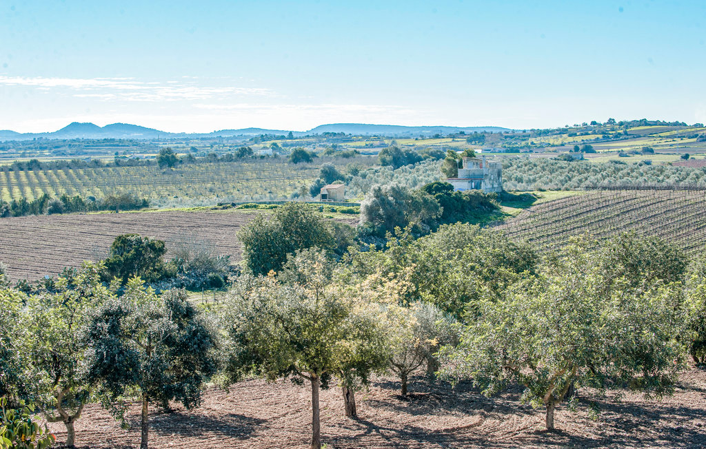 Feriehuse - Manacor , Spanien - EMA944 35