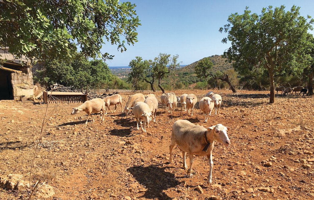 Semesterhus - Son Carrio , Spanien - EMA137 16