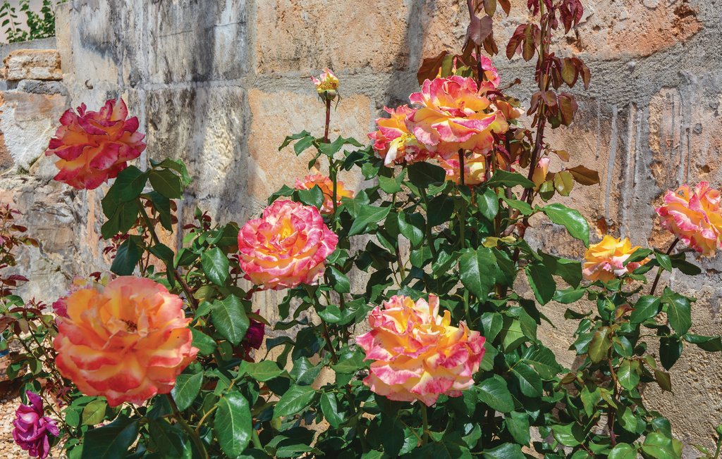 Feriehuse - Ariany , Spanien - EMA110 33