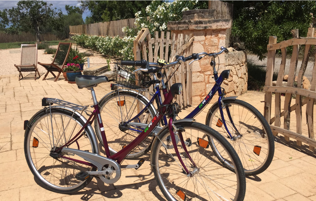 Feriehuse - Campos , Spanien - EMA945 28