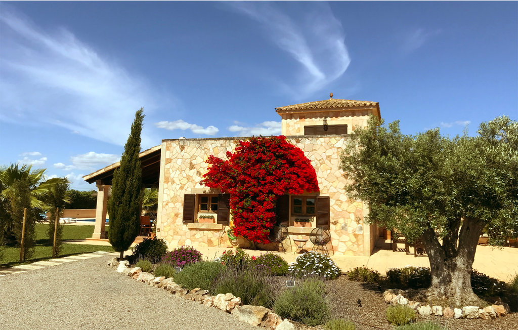 Feriehuse - Campos , Spanien - EMA945 12