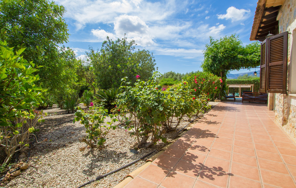 Feriehuse - Marratxi - Palma , Spanien - EMA972 16