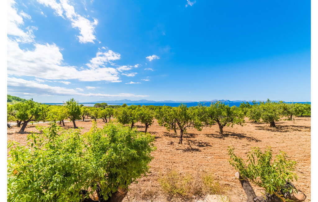 Ferienhaus - Betlem, Artà , Spanien - EMA997 26