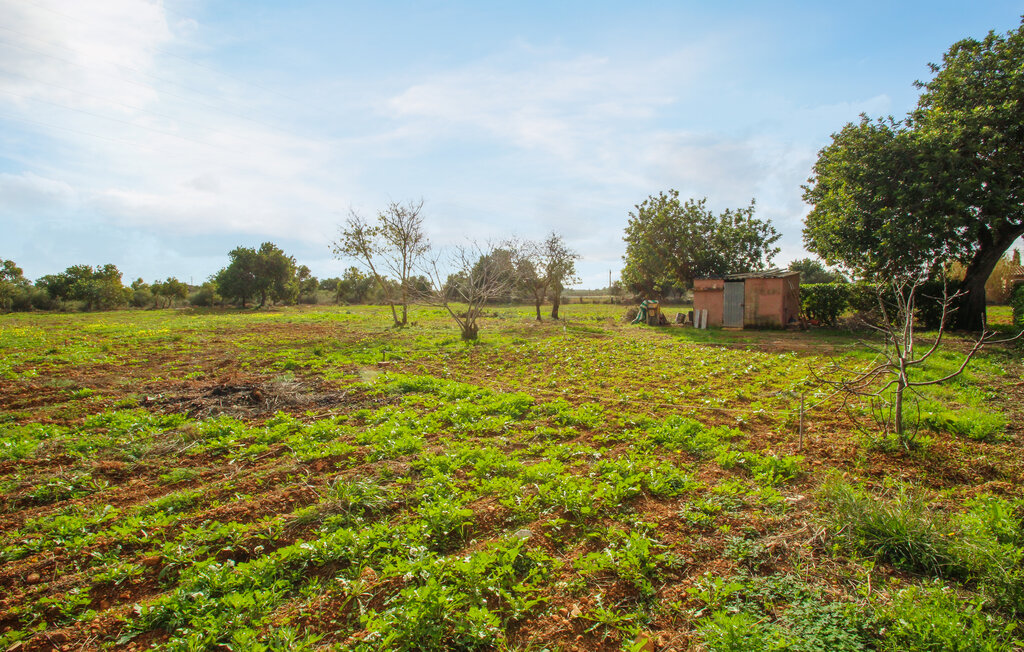 Location de vacances - Llucmajor , Espagne - EMA959 16