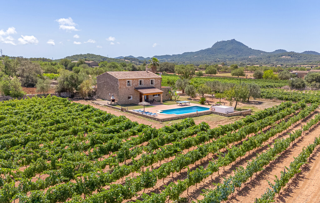 Feriehuse - Son Prohens , Spanien - EMA982 15