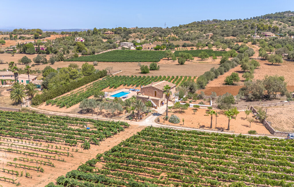 Feriehuse - Son Prohens , Spanien - EMA982 16