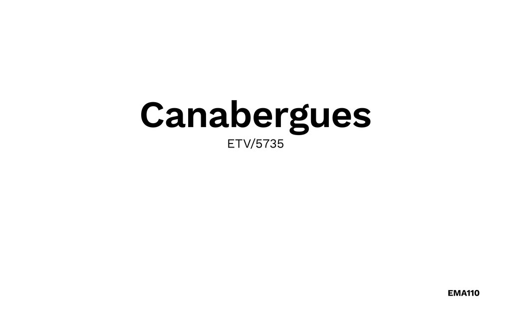 Feriehuse - Ariany , Spanien - EMA110 34