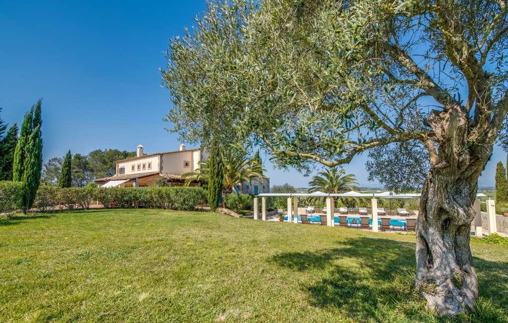 Feriehuse - Son Canals, Petra , Spanien - EMF003 14