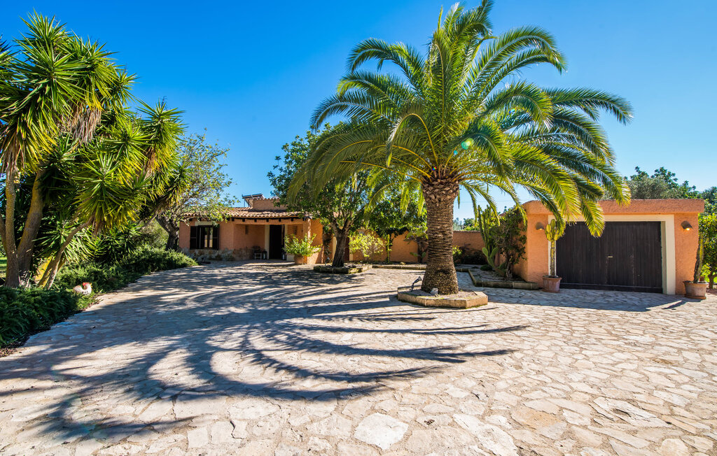 Kuća-za-odmor - Ferragut, Arta , Španjolska - EMF035 16