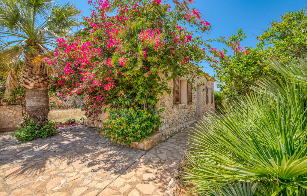 Ferienhaus - Gran Mares, Son Carrio , Spanien - EMF004 23