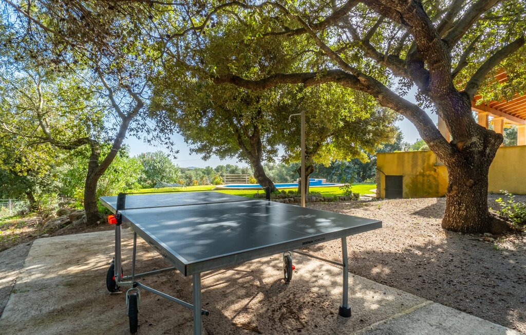 Feriehuse - Amarillo, Arta , Spanien - EMF022 56