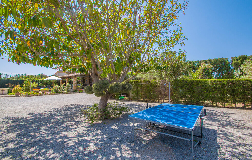 Feriehuse - Comptesses Petit, Alcudia , Spanien - EMF032 32