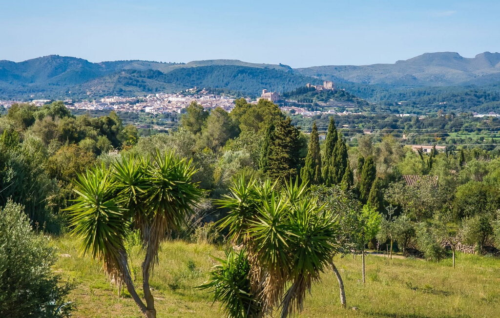 Domy wakacyjne - Oliveres, Arta , Hiszpania - EMF048 23