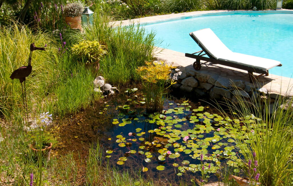 
Holiday rental - Los Palmitos, Arta , Spain - EMF084 17