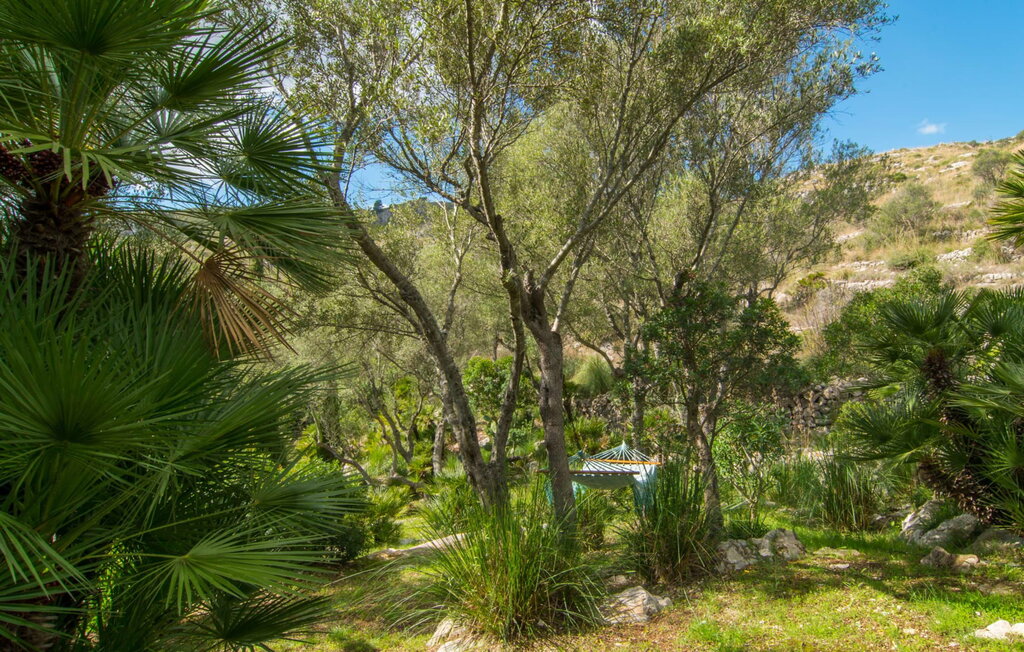 
Holiday rental - Los Palmitos, Arta , Spain - EMF084 25