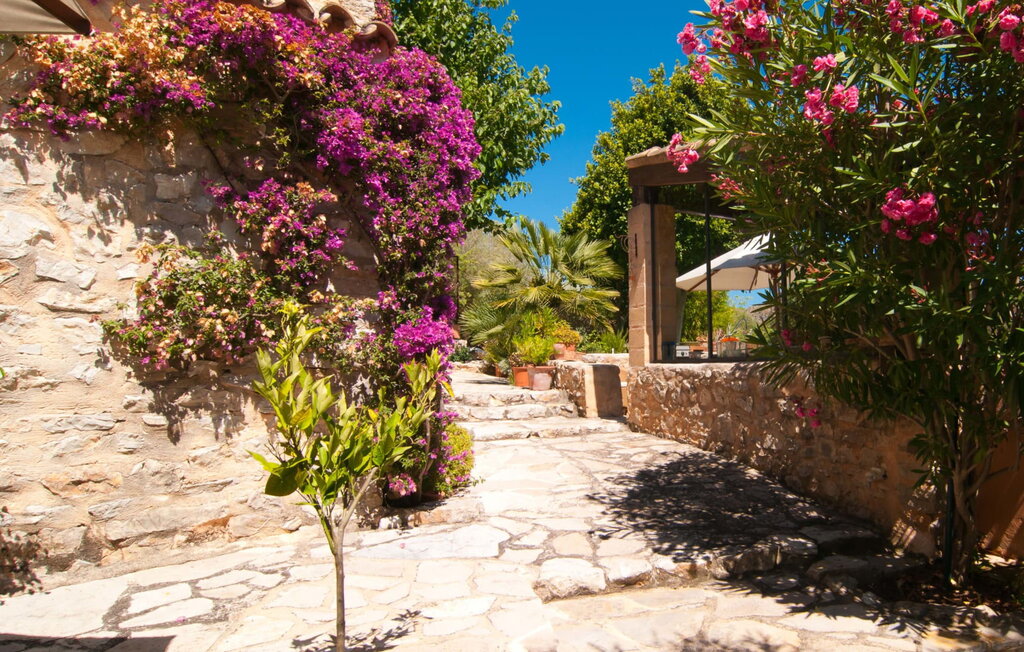 
Holiday rental - Los Palmitos, Arta , Spain - EMF084 23