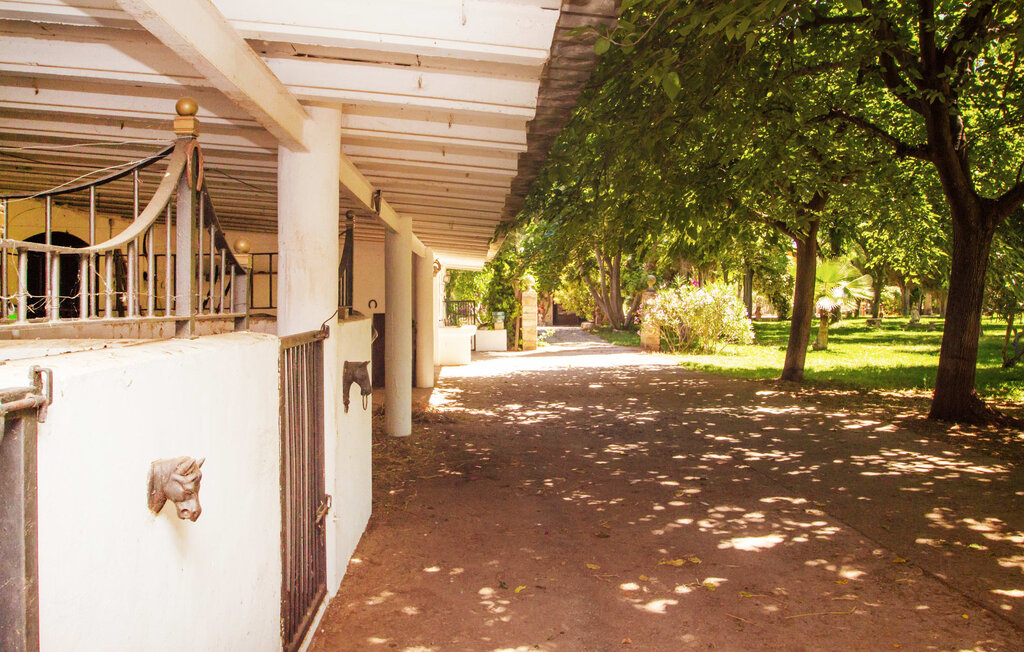 Ferienhaus - Santa Lucia, Binissalem , Spanien - EMF234 18