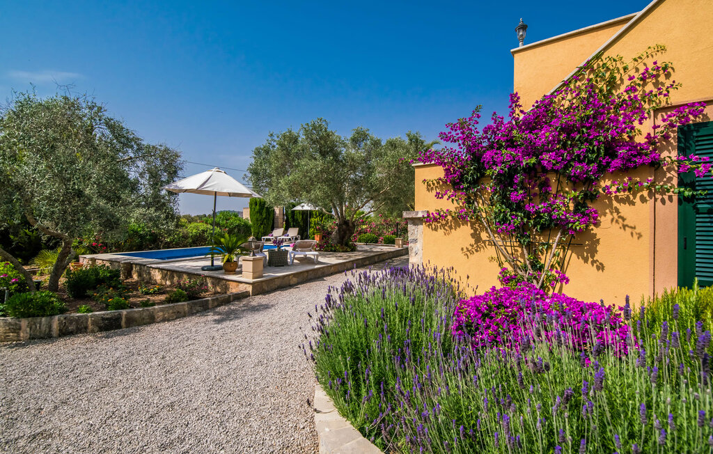 Feriehuse - Desol, Arta , Spanien - EMF249 25